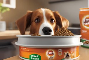 iams dog food
